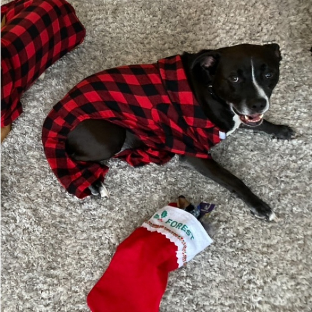 🖤❤️Large Dog Christmas pajamas red and black buffalo plaid - Picture 4 of 7